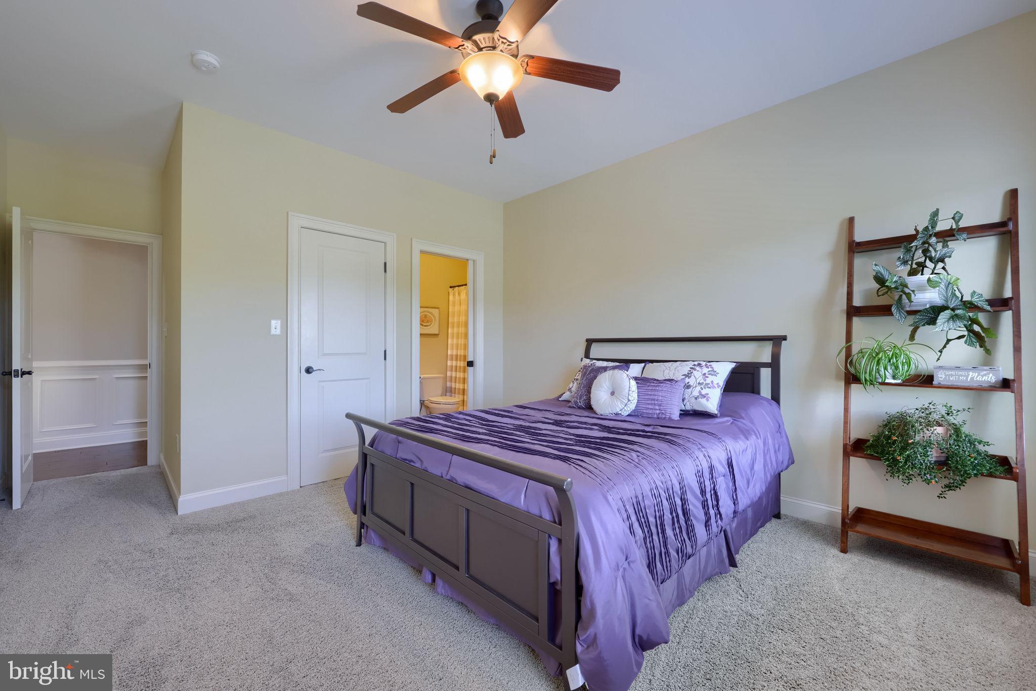 SPRING HAVEN - Residential