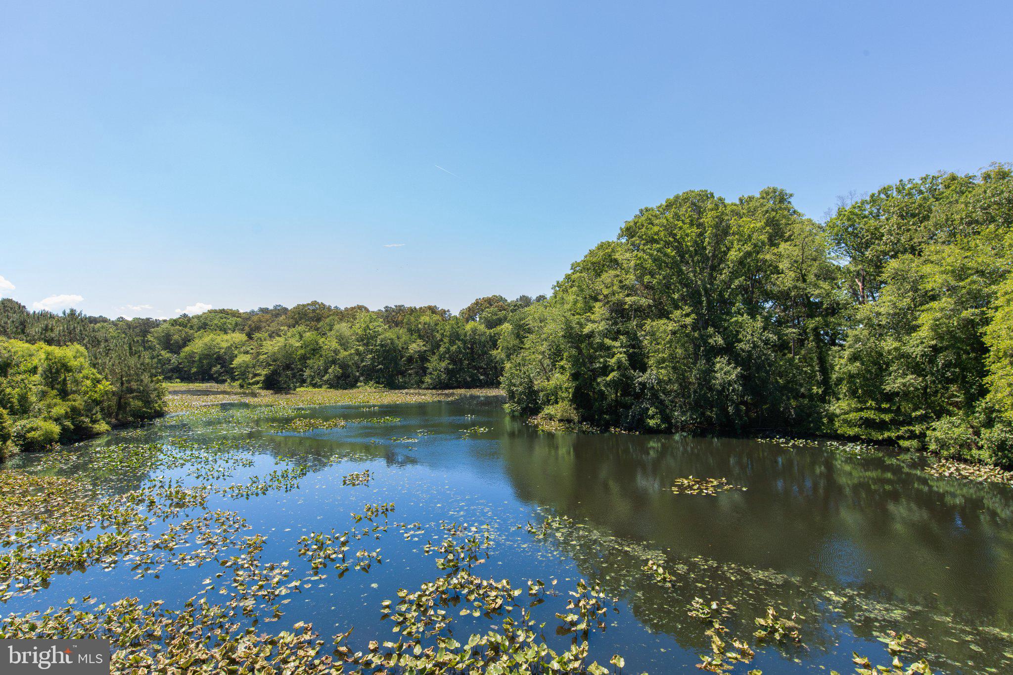 CANAL WOODS CM - Residential