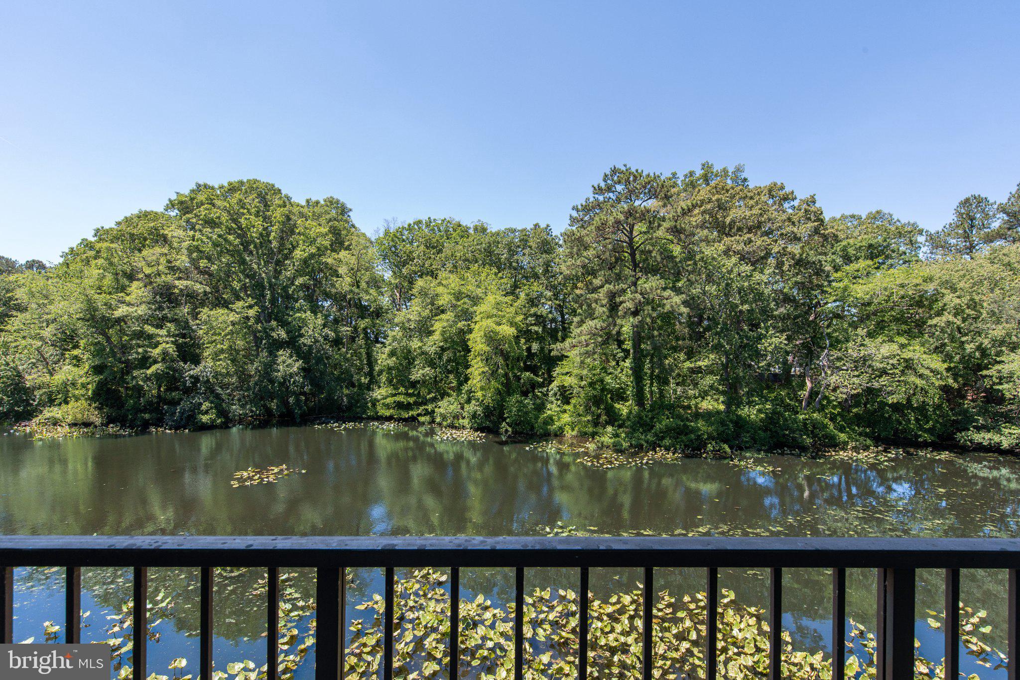 CANAL WOODS CM - Residential