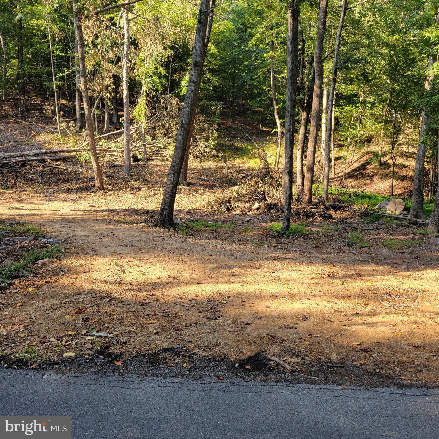 Looking for a place to get away? You can do it on these two lots totaling 3.095 wooded acres in a great community with a community lake and beach area. Lots 6 & 7 are being sold together as one. Property has a driveway cut in and a level spot to place a building.  Build yourself a cabin or just come hide from it all. Community ball field for the kids is another plus. And let's not forget the 22,000 acres of public hunting. That's right, the only thing that divides you from this hunting ground is the road. Walk across the road and you are there. No more getting up hours early for the long drive to go hunting or hiking, walk to it in less than a minute. Less than 30 minutes to the Historic town of Berkeley Springs/Bath, Martinsburg, WV & Intersate-81.
This is two Lots, 6 & 7. Tax Id # for lot 7 is 07 10A000700000000