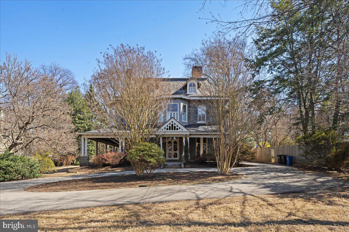CHESTNUT HILL - Residential