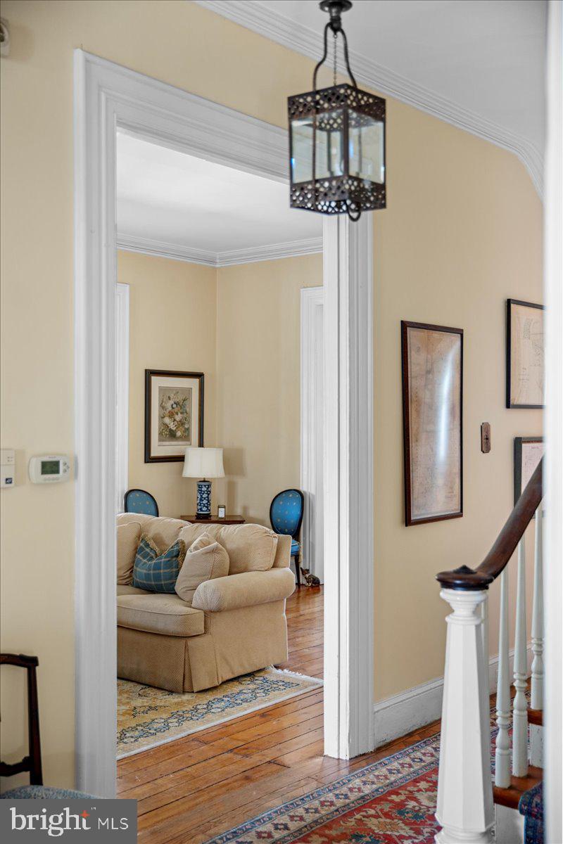 CHESTNUT HILL - Residential
