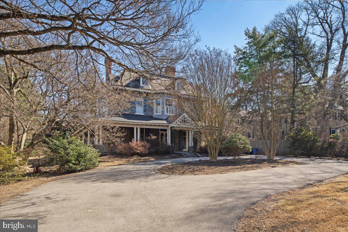 CHESTNUT HILL - Residential