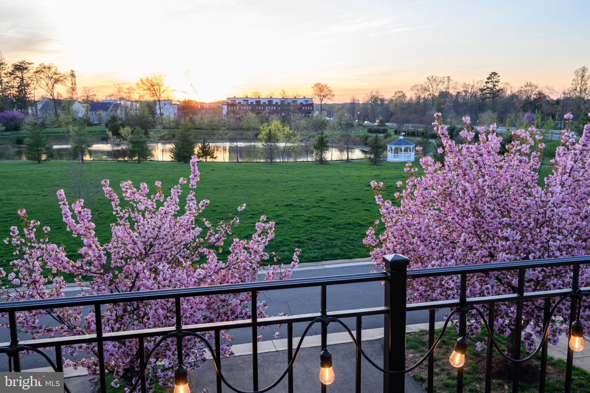BRAMBLETON TOWN CENTER - Residential
