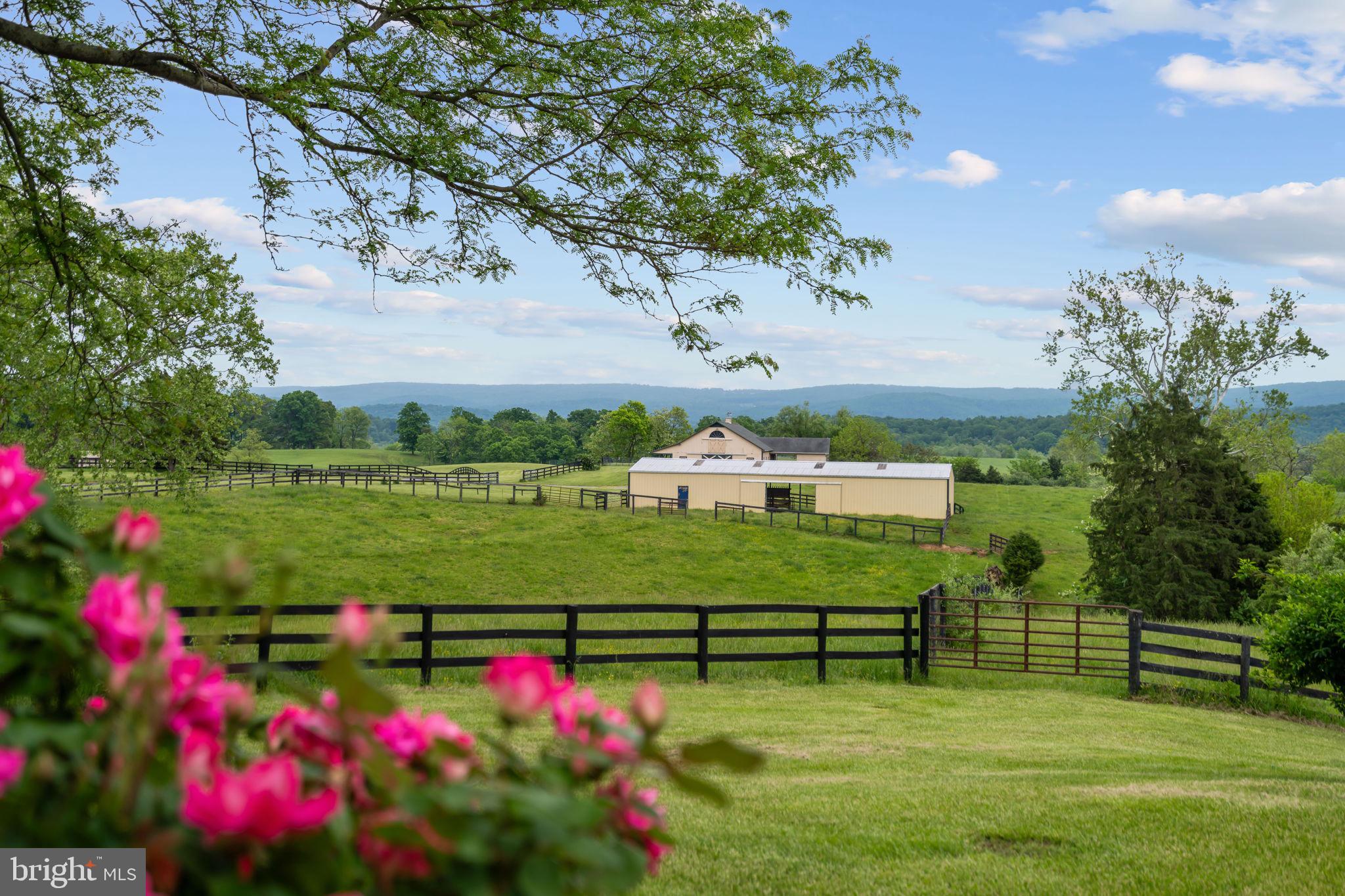 BERRYVILLE - Residential