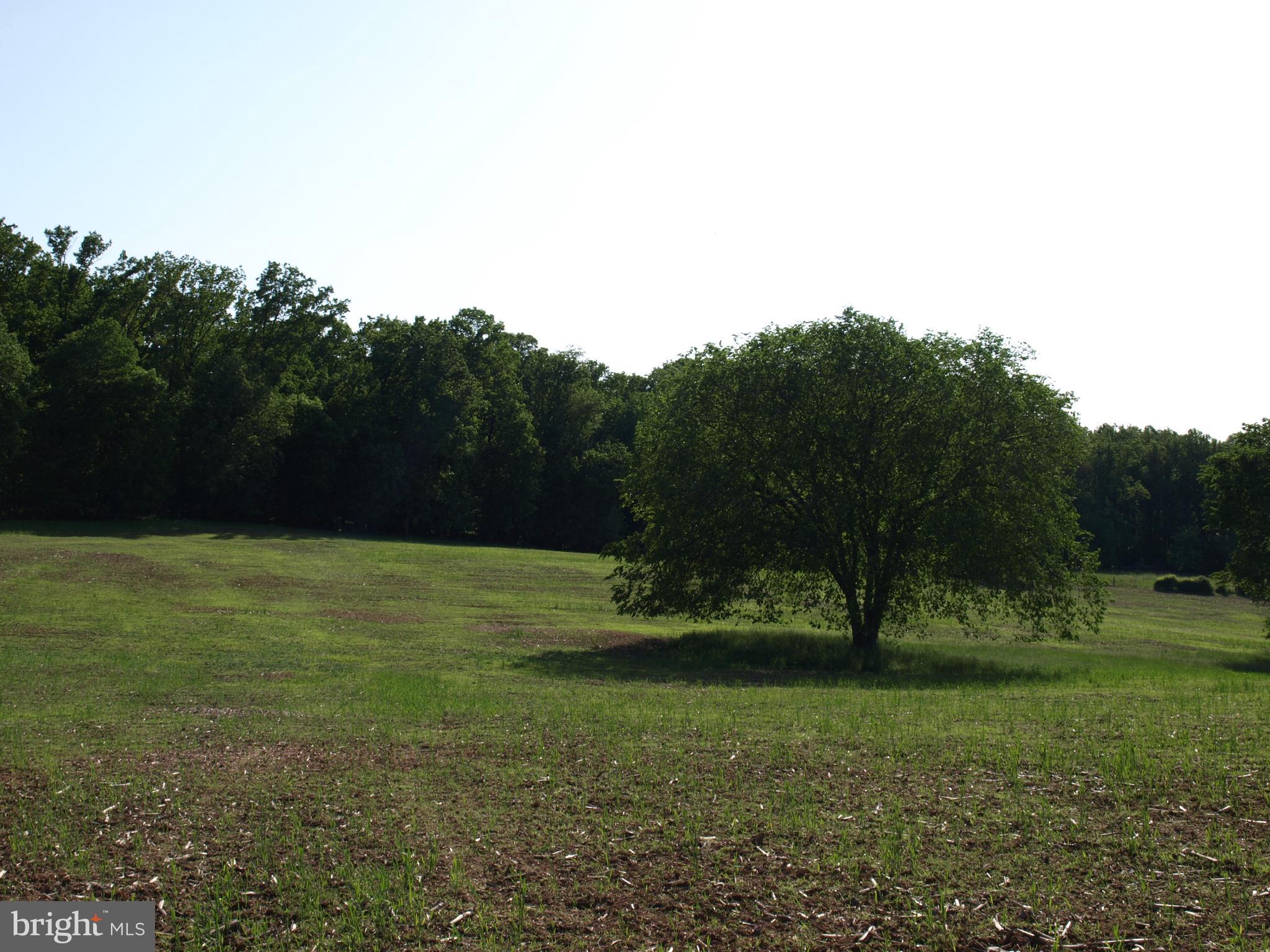 RESERVE AT BLACK ROCK - Land