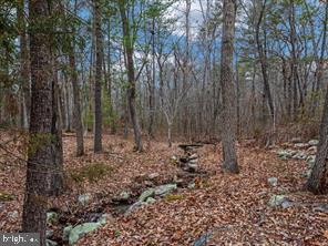 MASSANUTTEN FOREST - Residential