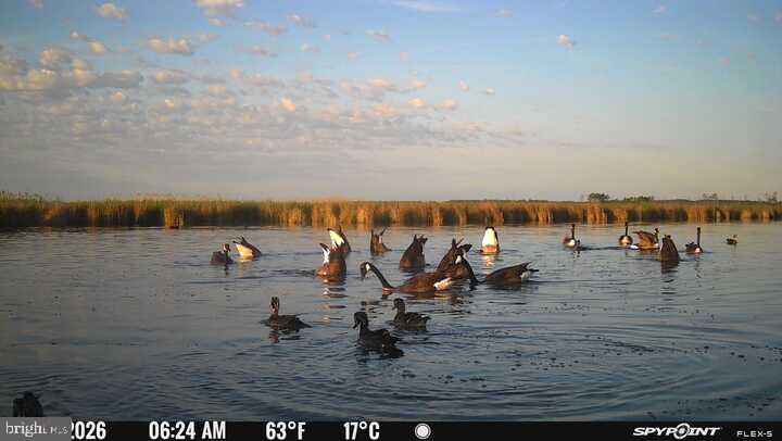 Birds-Birds-Birds... – This unique hunting property, along with an existing church, has the potential to be your dream hunting lodge. This remarkable estate offers a rare opportunity to own your hunting camp in the heart of nature's bounty, bordered on the southern property line by Fishing Bay Wildlife Sanctuary. The property's key feature is its ideal location, nestled in the serene surroundings of Crapo, MD, offering a tranquil escape from the hustle and bustle of modern life. While conveniently close to modern metro centers, it's ideally situated amid some of the best hunting and fishing grounds on the East Coast. The property boasts an existing church that opens up exciting possibilities. Transform it into your hunting lodge, creating a unique and atmospheric retreat for you and your friends. For hunting enthusiasts, this property is a haven for Sika deer and waterfowl. The property is expertly set up for duck hunting and features a long boardwalk that takes you to the duck pond and duck blind in the center of the marsh. And a convenient location in the pines with a deer stand and feeder. Immerse yourself in the natural beauty and abundance of wildlife that surrounds you, creating an unparalleled hunting experience. Take advantage of this rare opportunity to own an affordable piece of paradise. Whether you're a seasoned hunter or looking to establish a nature retreat, this property offers a cost-effective way to make your dreams a reality. This is more than just a property; it's an invitation to immerse yourself in the great outdoors, create lasting memories, and build a unique haven for hunting and relaxation. You can use the opportunity to make 3241 Robbins Rd your private retreat in the heart of nature's wonders. The property consists of two lots. Church: 0.519 acres (See the attached survey plat in documents). The more considerable lot: the tax map indicates 15 acres; however, the survey documents indicate 34.5 acres. (A survey performed by the former owner but not recorded is attached in the documents, indicating 34.5 acres are connected to the documents)