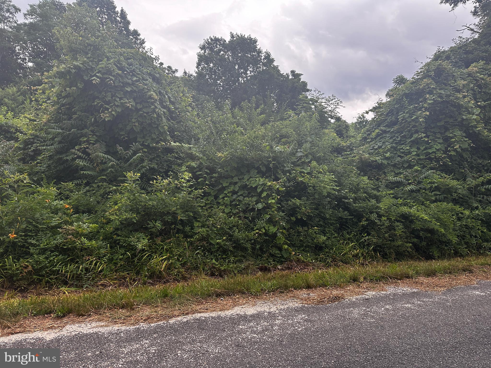 Welcome to Northumberland County! This 1.59-acre lot offers the ideal setting for peace. Enjoy the charm of country living while staying close to the public schools, grocery stores, and local dollar stores. Perfect for outdoor enthusiasts, nearby opportunities for wildlife watching, hunting, crabbing, kayaking, and more. Don't miss the chance to own a beautiful lot in a great location.