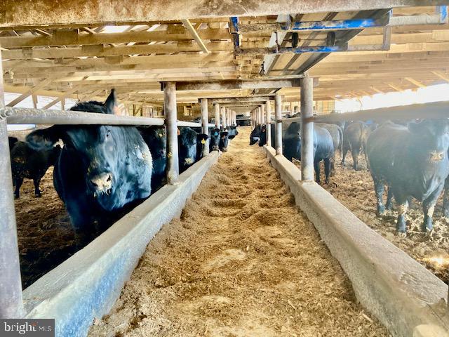 WARWICK TWP - Farm