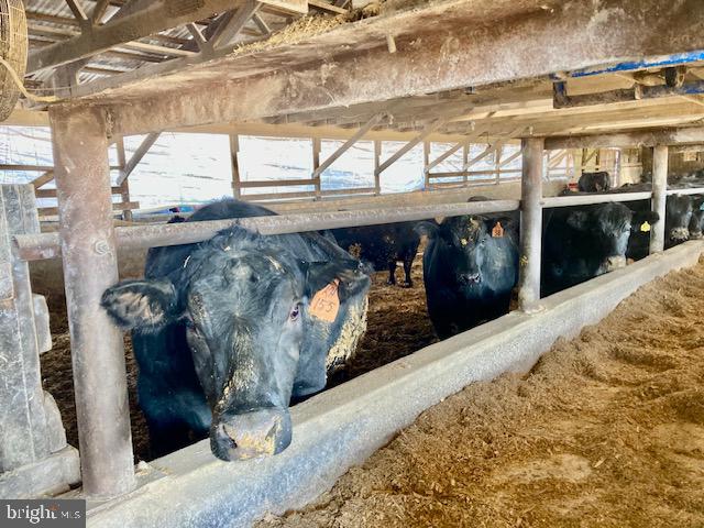 WARWICK TWP - Farm