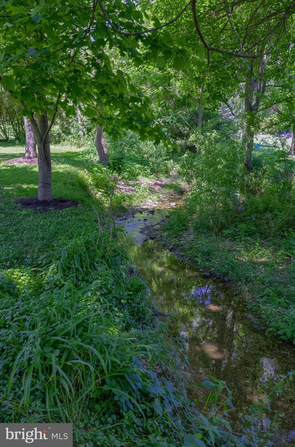 SCHOOL LANE HILLS ESTATES - Residential