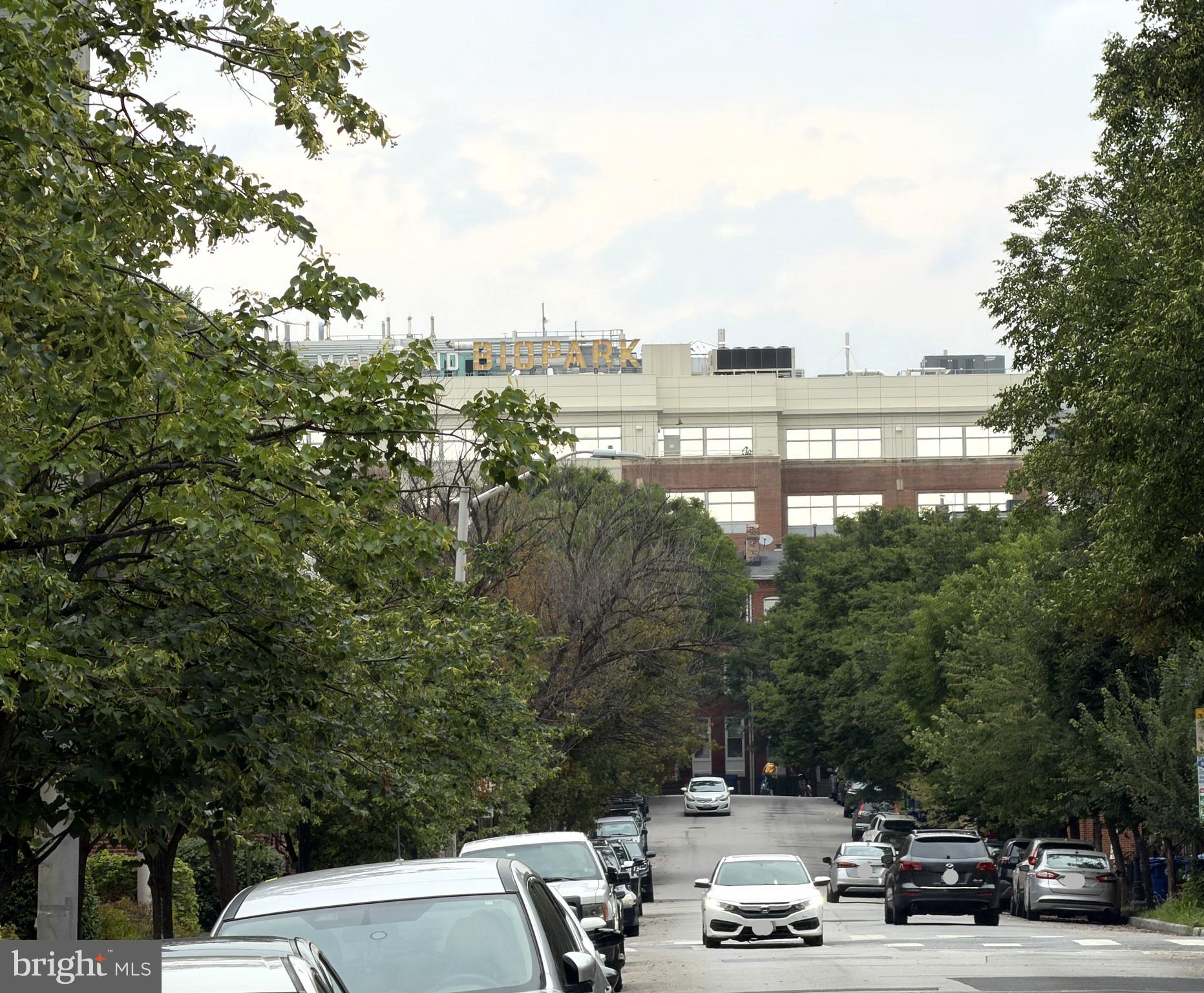 WASHINGTON VILLAGE - Residential