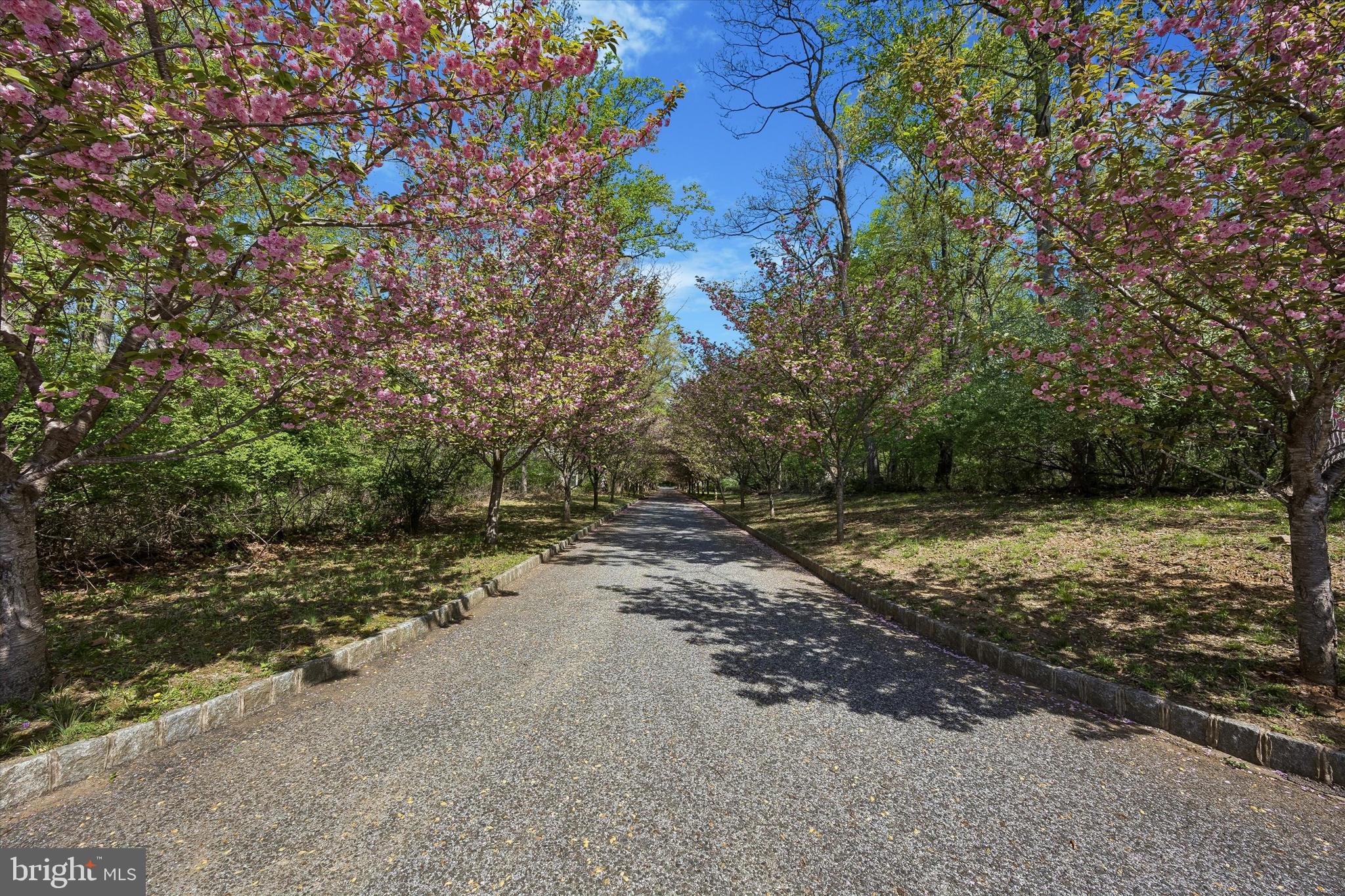 PRISTINE  2 ACRE ( level) building Lot  perched above  Springton Lake Resevoir.   Improved  lot  with no builder Tie in.    This exceptional homesite offers a rare blend of natural beauty and peaceful privacy 
A  900 foot driveway lined with Belgian  block and  72 cherry blossom trees welcomes you home  creating a breathtaking arrival each Spring and  a picturesque setting year round.  With its gentle elevation, the building envelope is positioned to overlook  serene Springton Lake Reservoir, offering calming  views and  unforgettable sunrises and sunsets. 
With ample space to design a custom residence  and  outdoor retreat this lot can accommodate a 10,000 square foot home,  free standing Orangerie , basketball court and  6 car garage and a separate out building   Whether envisioned as a private sanctuary or statement estate, the setting of unspoiled land and iconic seasonal beauty combine to create a once in a lifetime opportunity,
All improvements are in , including public water , GAS and low velocity line run up private drive for future sewer tie in.    Spectacular location is only minutes from Ellis Preserve , Valley Forge  a short drive to Philadelphia International Airport and Center City .     Property address will be 3882 but may still show as vacant lot next to 3880