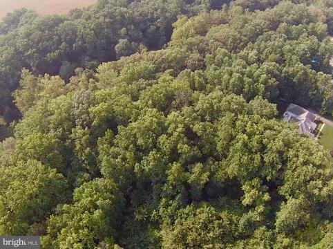 CORSICA WOODS - Land