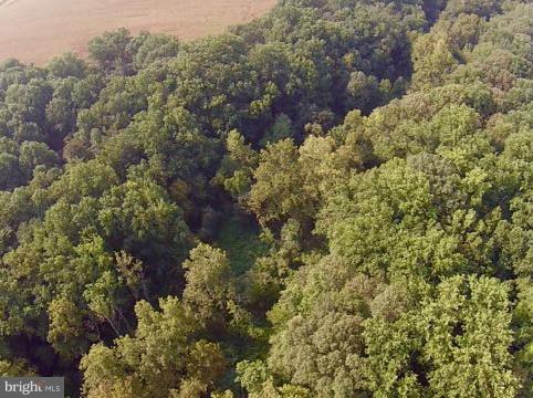 CORSICA WOODS - Land