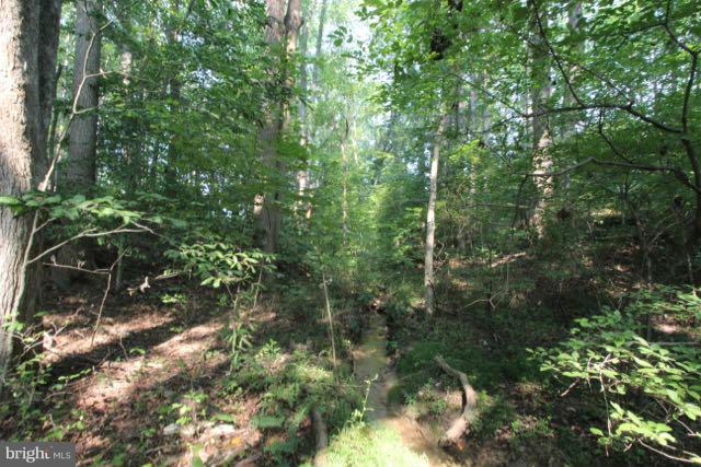 CORSICA WOODS - Land