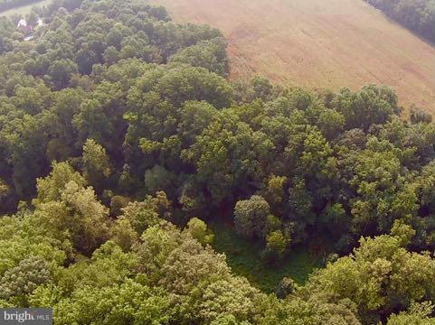 CORSICA WOODS - Land