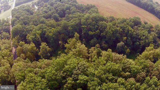 CORSICA WOODS - Land