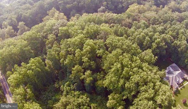CORSICA WOODS - Land