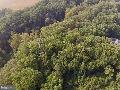 CORSICA WOODS - Land
