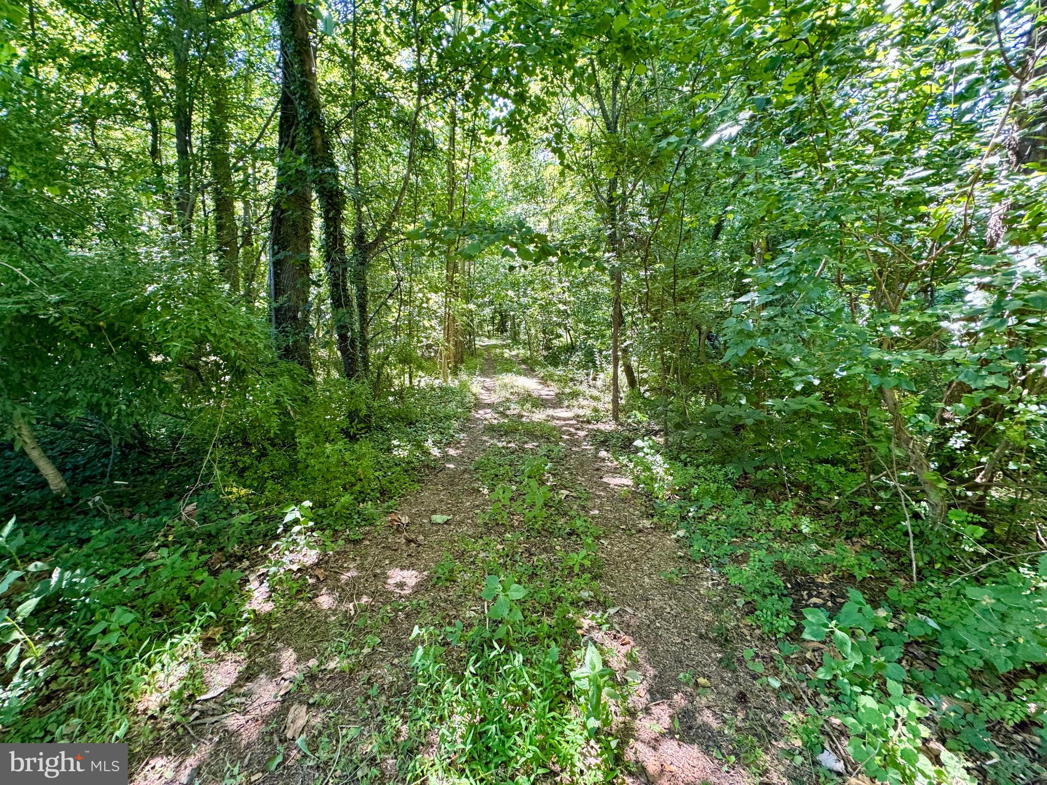 CORSICA WOODS - Land