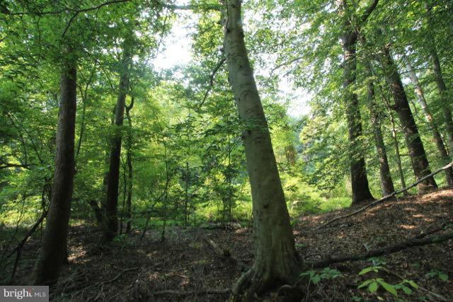 CORSICA WOODS - Land
