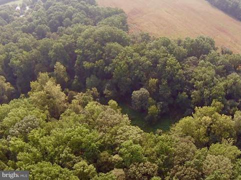 CORSICA WOODS - Land