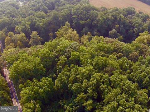 CORSICA WOODS - Land