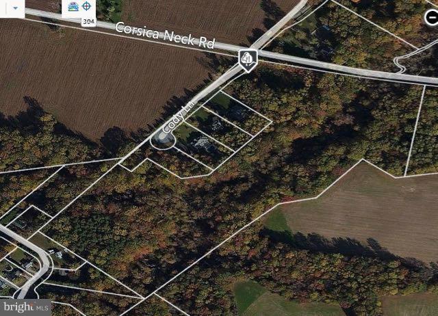 28.49 Acre Build-able Lot to build your dream house! Located just down the road from Downtown Centreville MD. 3,000 sq foot minimum building restriction in community. Stream runs through this mature wooded lot!! Current owner has building plans and old building permit. Lot subject to covenants and restrictions. Located within minutes from Centreville restaurants and stores!
