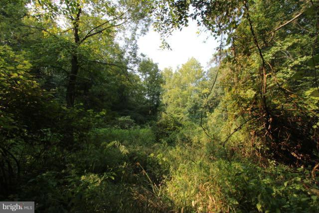 CORSICA WOODS - Land