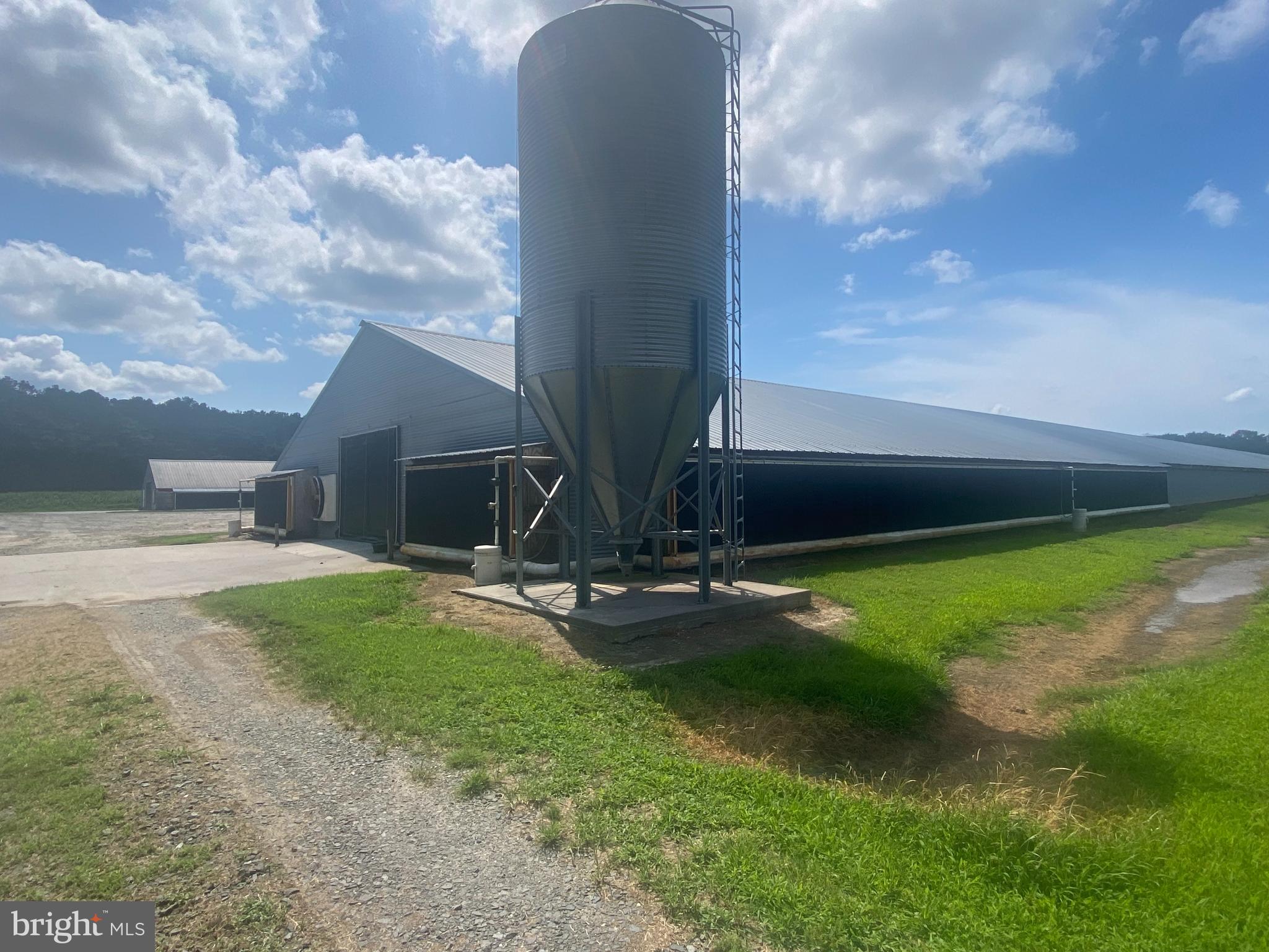 NONE AVAILABLE - Farm