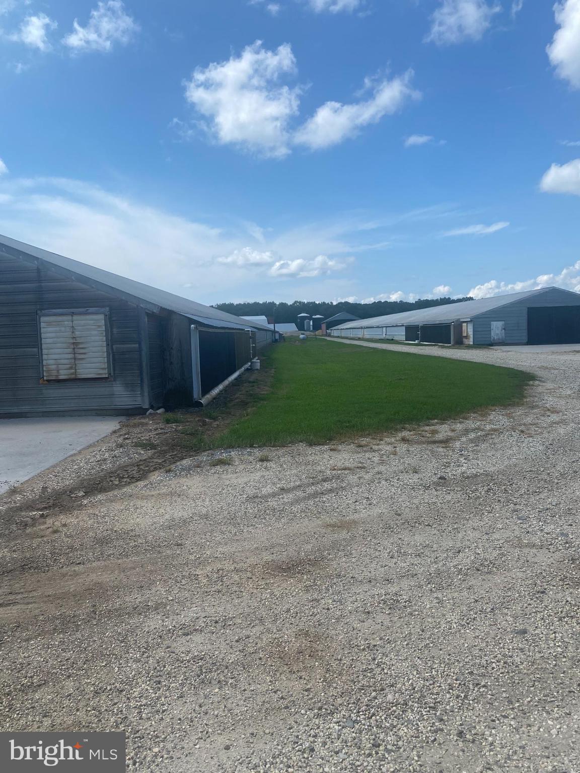 NONE AVAILABLE - Farm