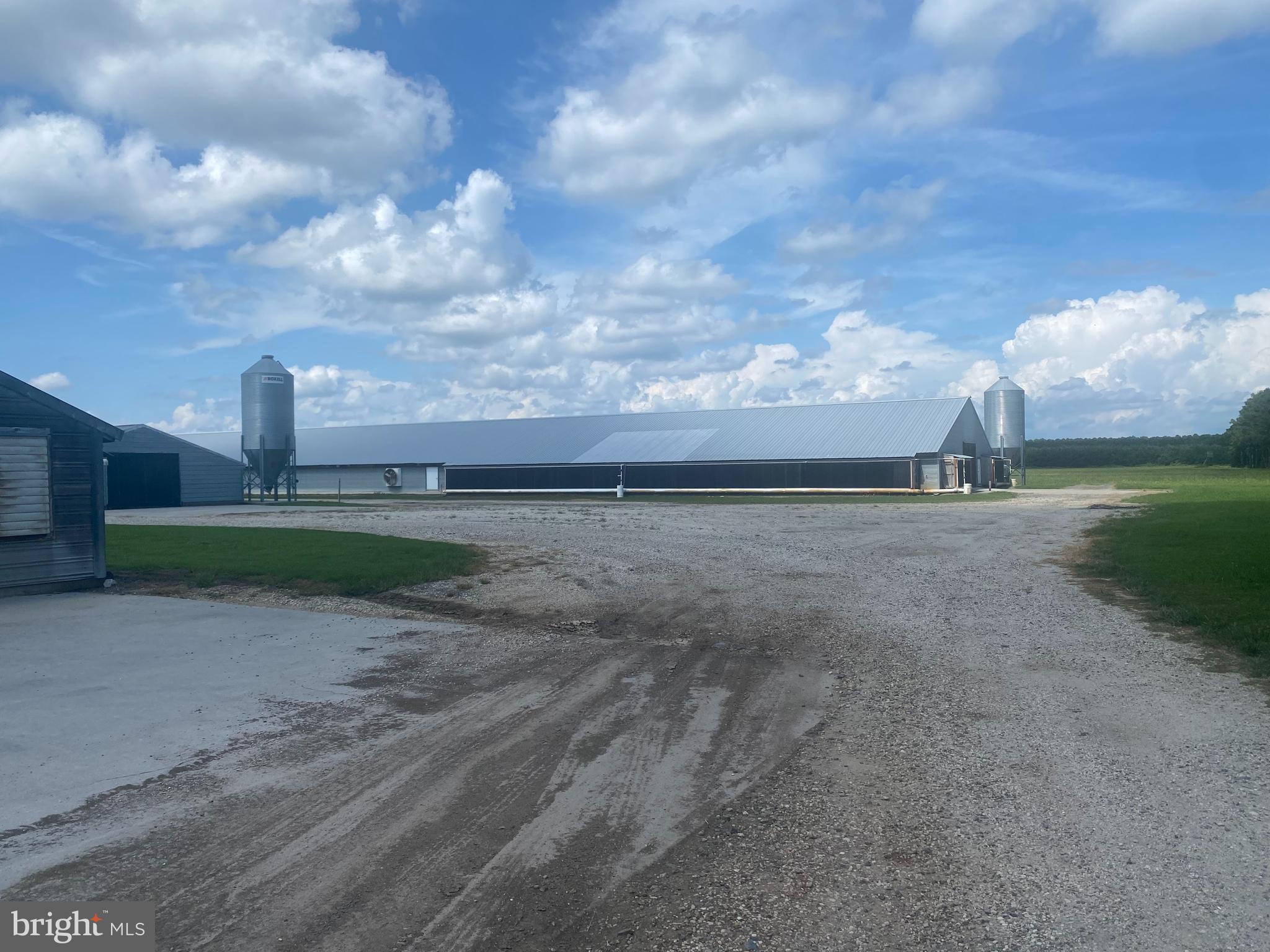 NONE AVAILABLE - Farm