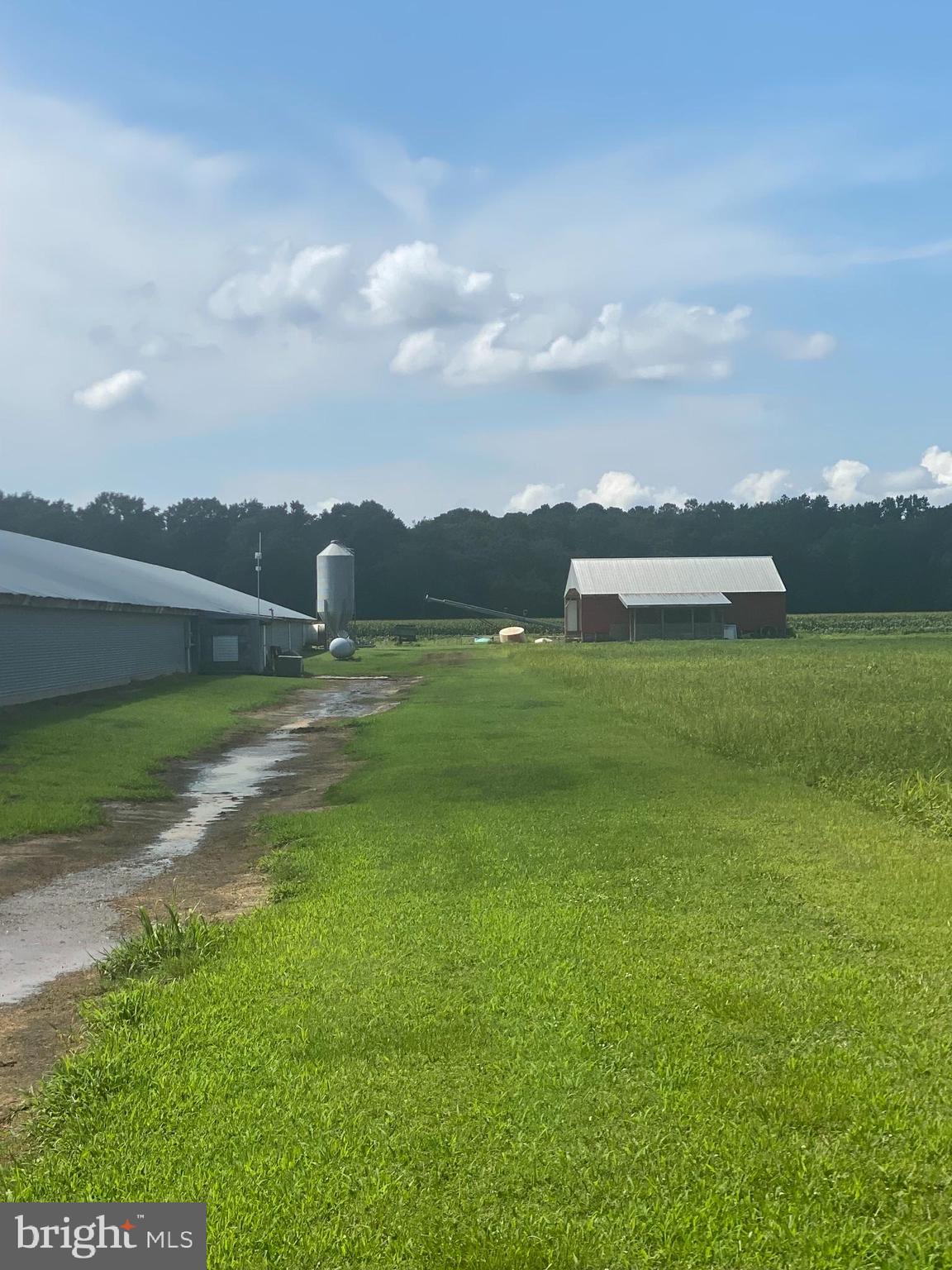 NONE AVAILABLE - Farm