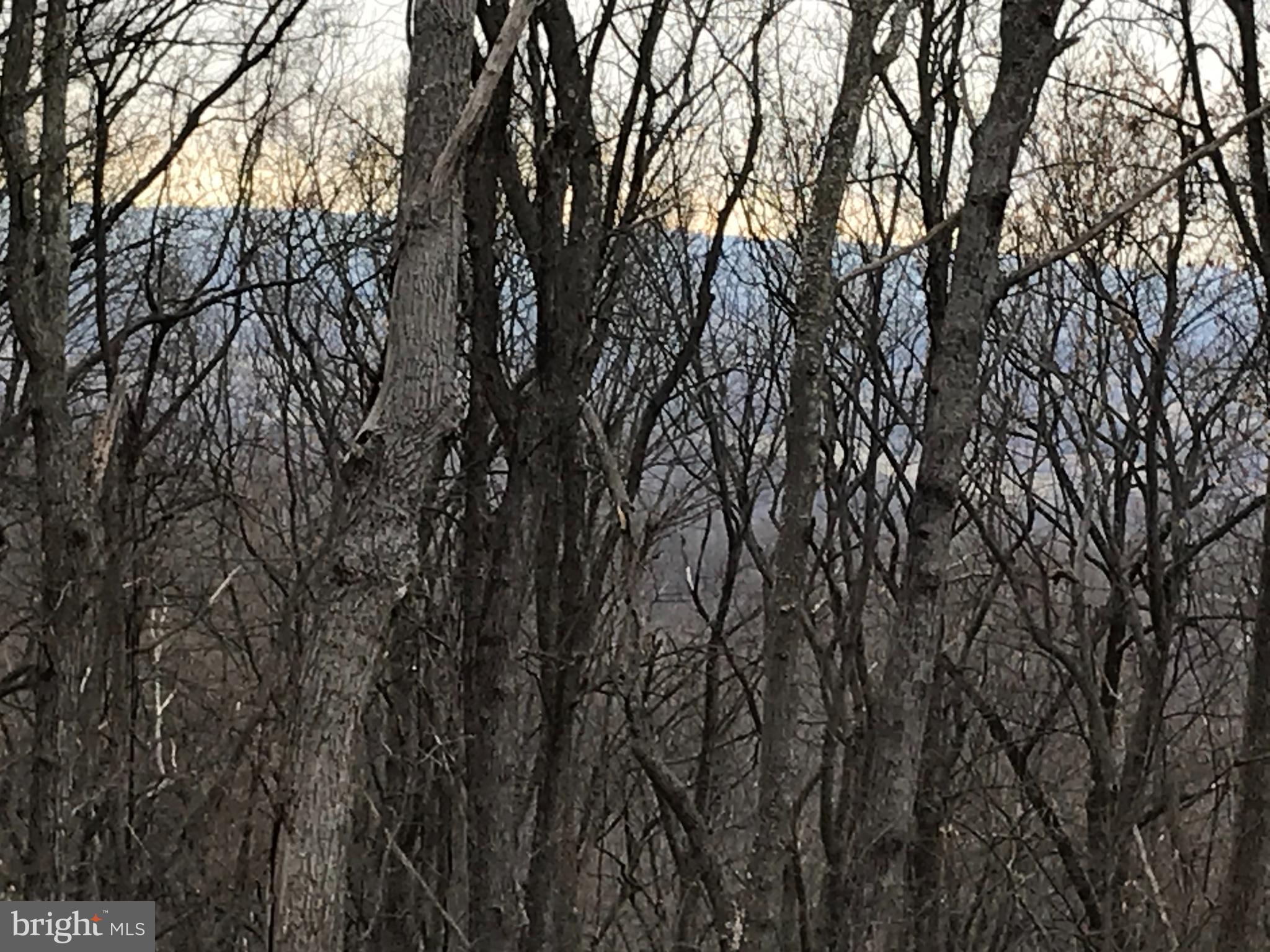 BLUE MOUNTAIN ESTATES - Land