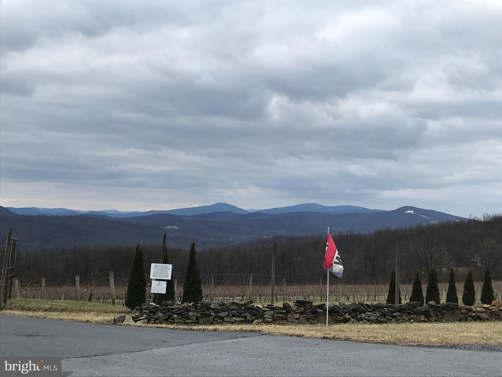 BLUE MOUNTAIN ESTATES - Land