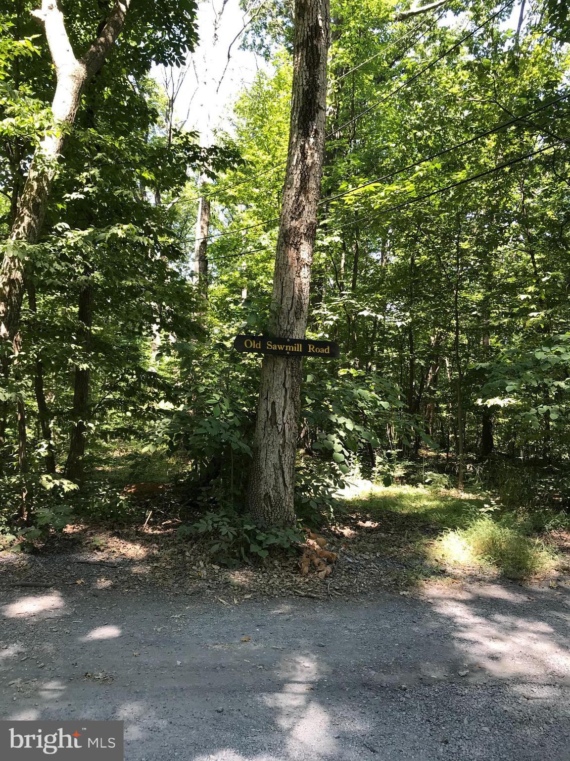 BLUE MOUNTAIN ESTATES - Land