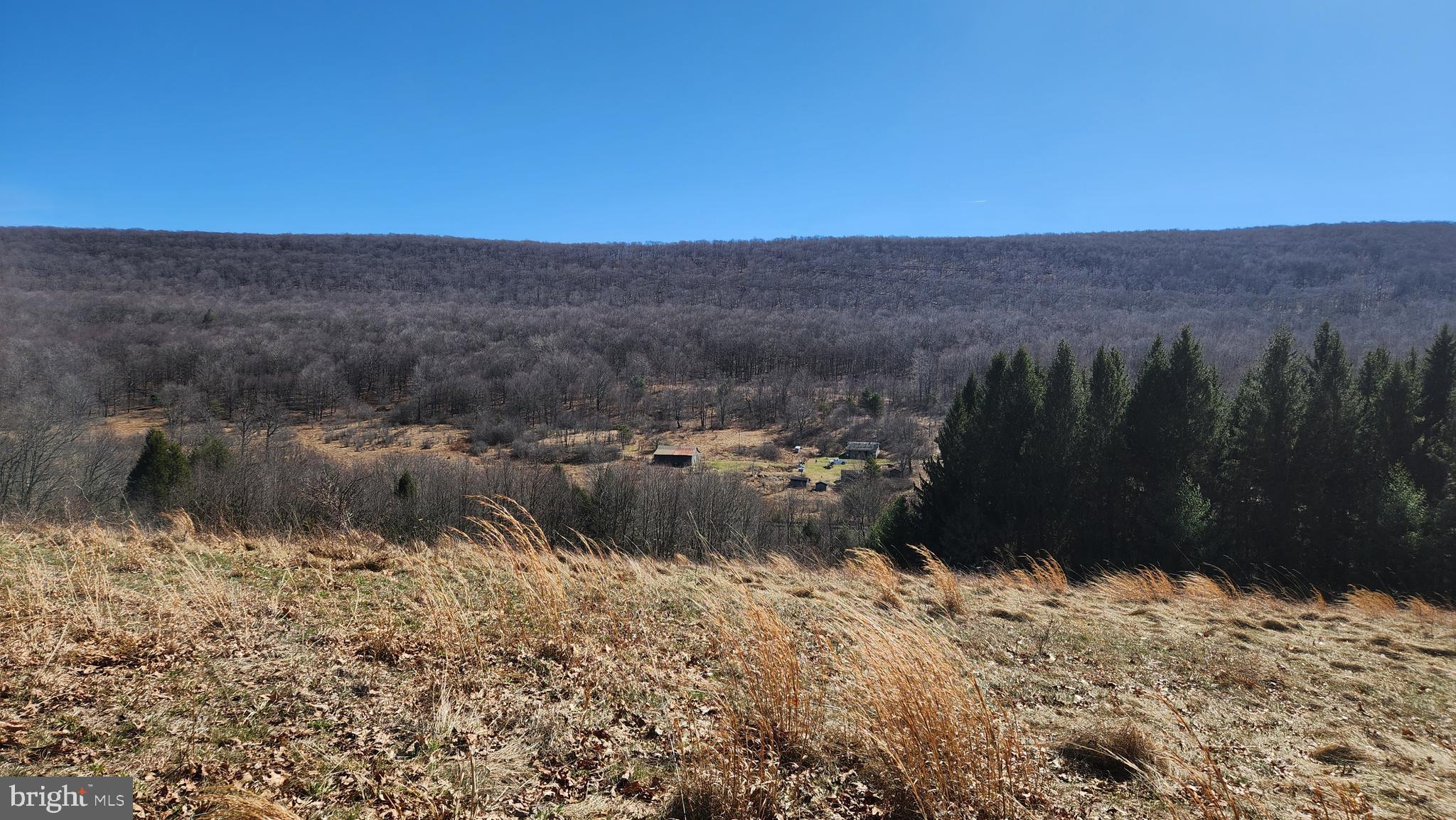 Mix of woods and fields with stream through property . House and outbuildings need work, but can be restored. All interior and exterior walls in house are concrete block.  Electricity on site , but no well or septic. Pond in front of house needs to be dragged and refilled.