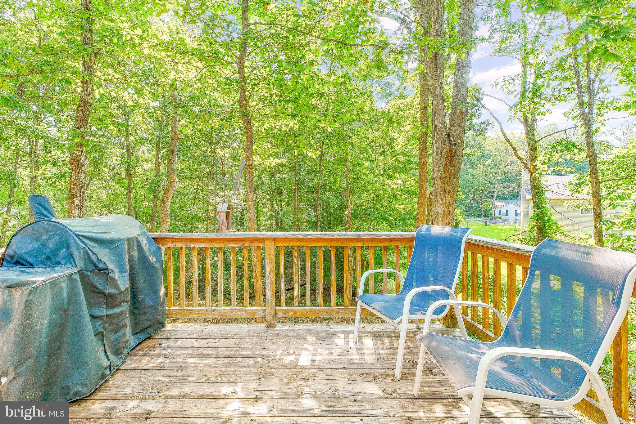 CHESAPEAKE RANCH ESTATES - Residential
