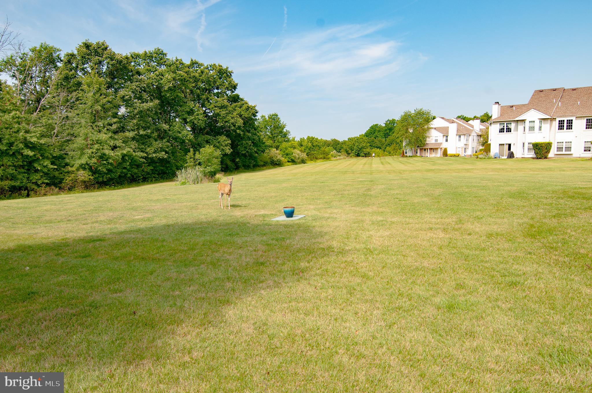 WILLOW STREAM - Residential