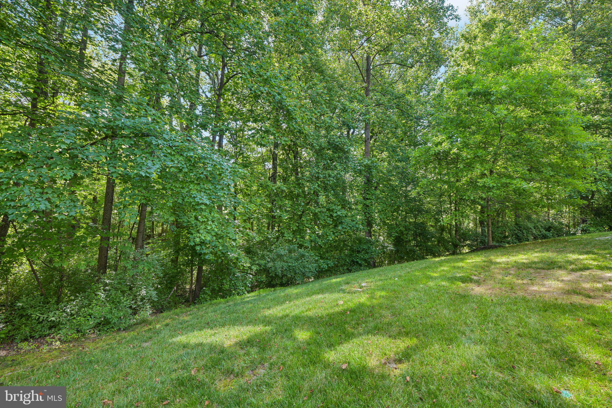 OAKMONT ESTATES - Residential