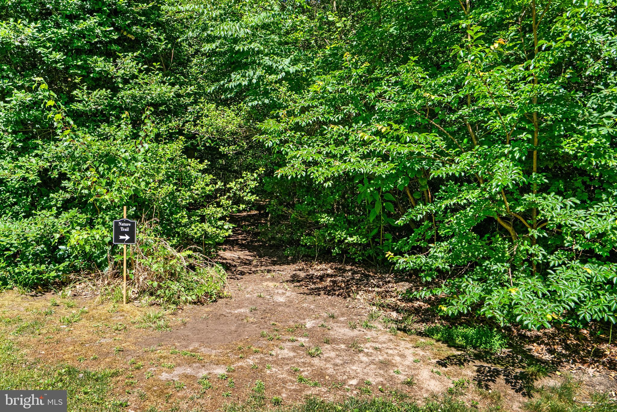 WOODBRIDGE FOREST - Residential