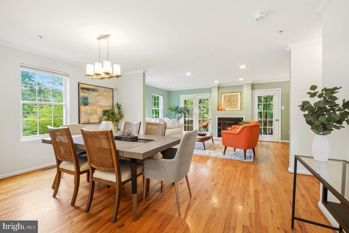 TAKOMA PARK - Residential