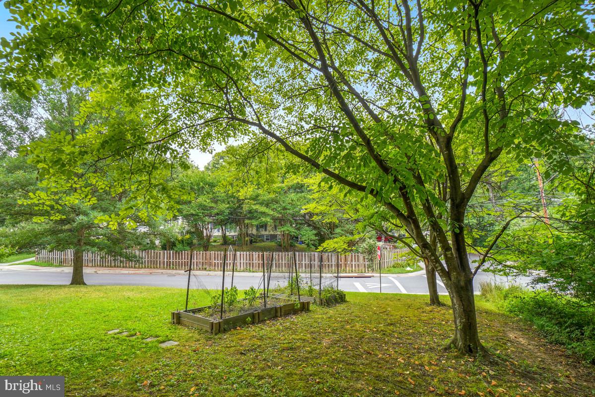 TAKOMA PARK - Residential