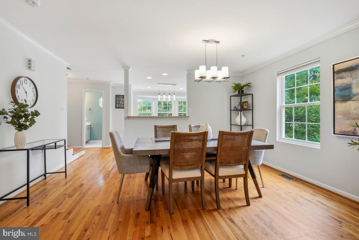 TAKOMA PARK - Residential