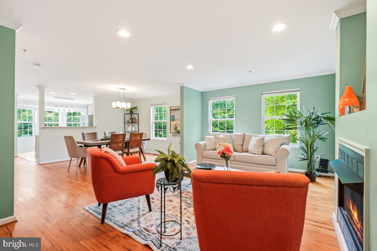 TAKOMA PARK - Residential