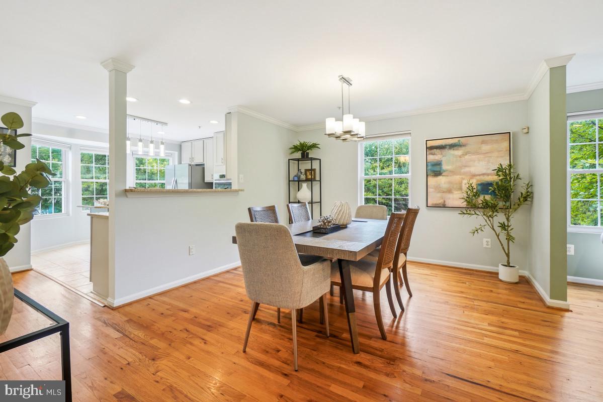 TAKOMA PARK - Residential