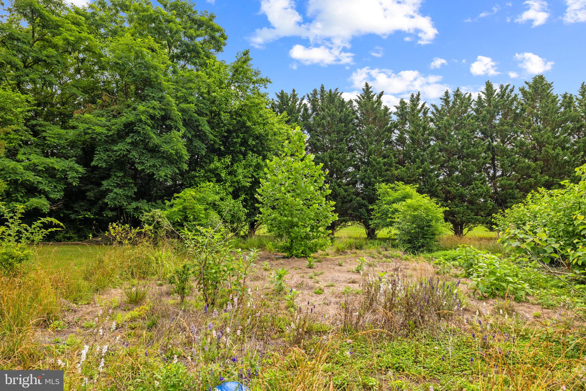 MEADOW BROOK - Residential
