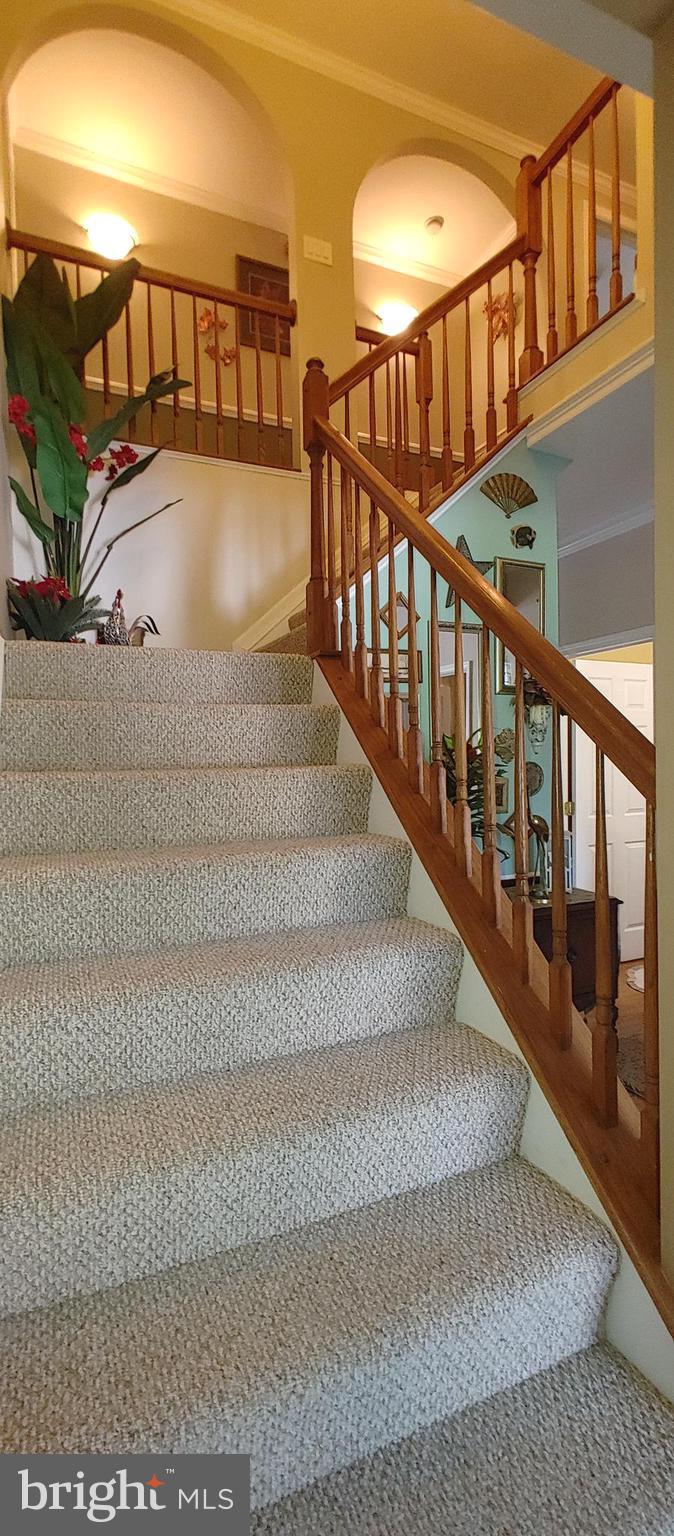 BIRCHWOOD - Residential